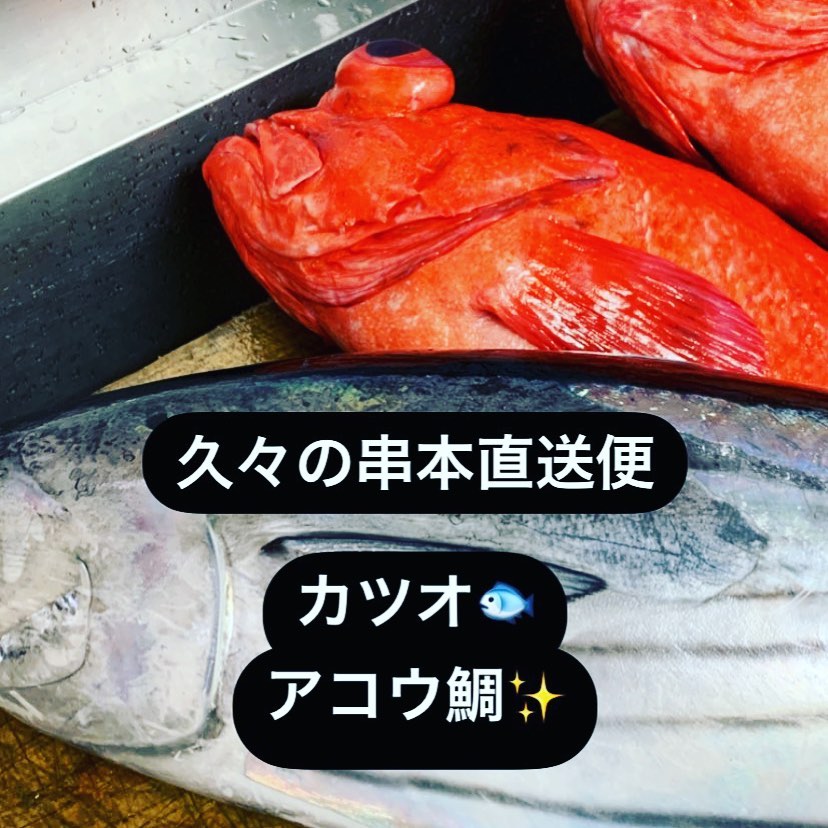ええのん来ました
アコウ鯛の顔旨すぎる🤤
本日もよろしくお願いします🤲
https://www.wakayama-kishugura.com
TEL 0734994080