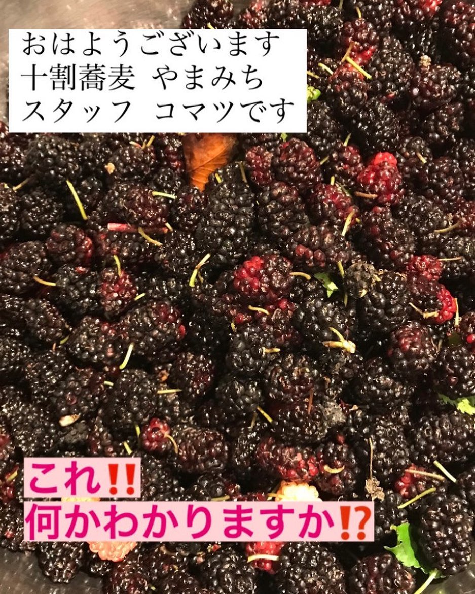 この実の正体は？
ストーリーに載せていますよ

どんな食材になるか楽しみ