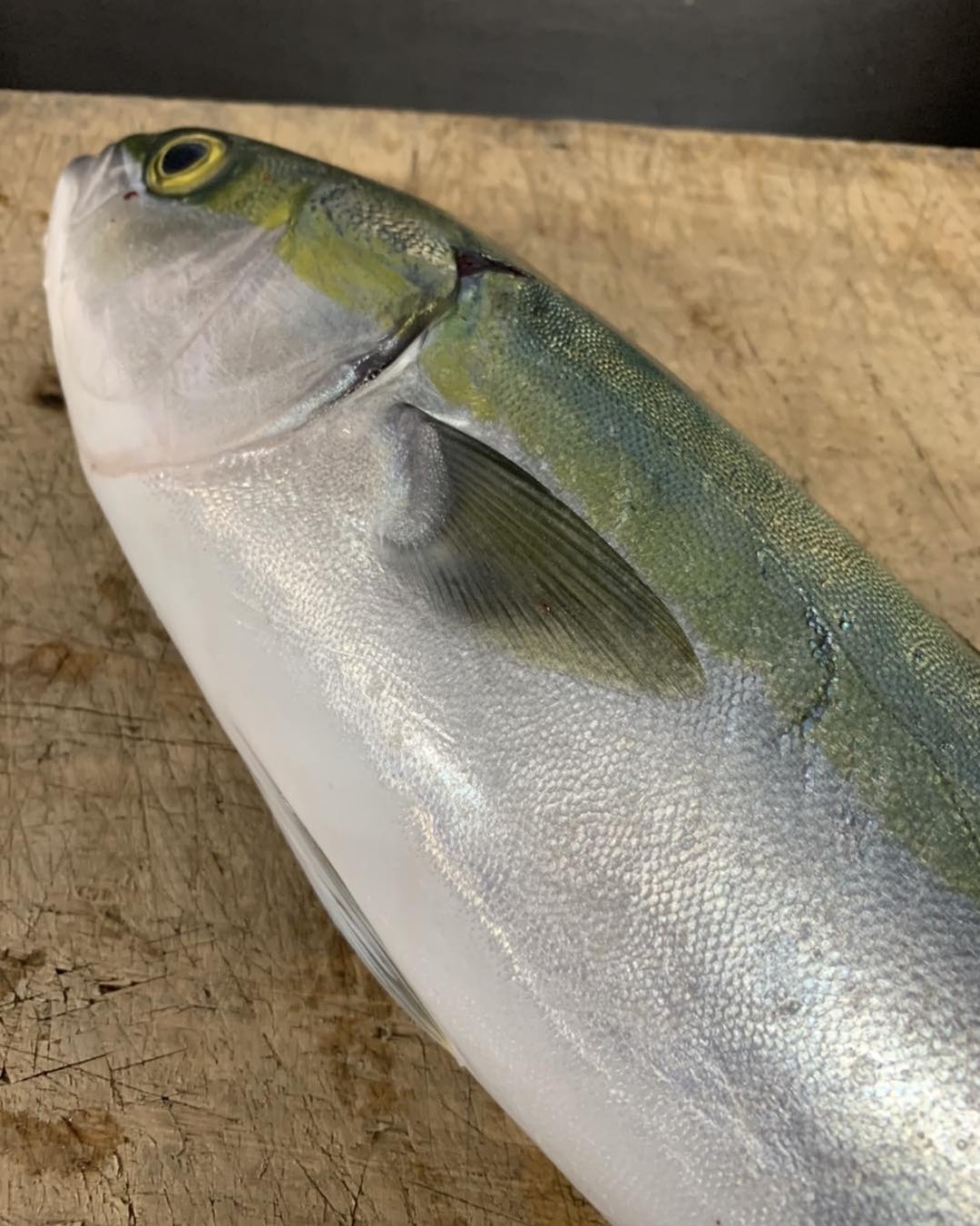 釣りたてのハマチ来たので今日限定で
「釣りたてハマチ定食」します🫡

よろしくおねがいします

https://www.wakayama-kishugura.com


080 8032 0259