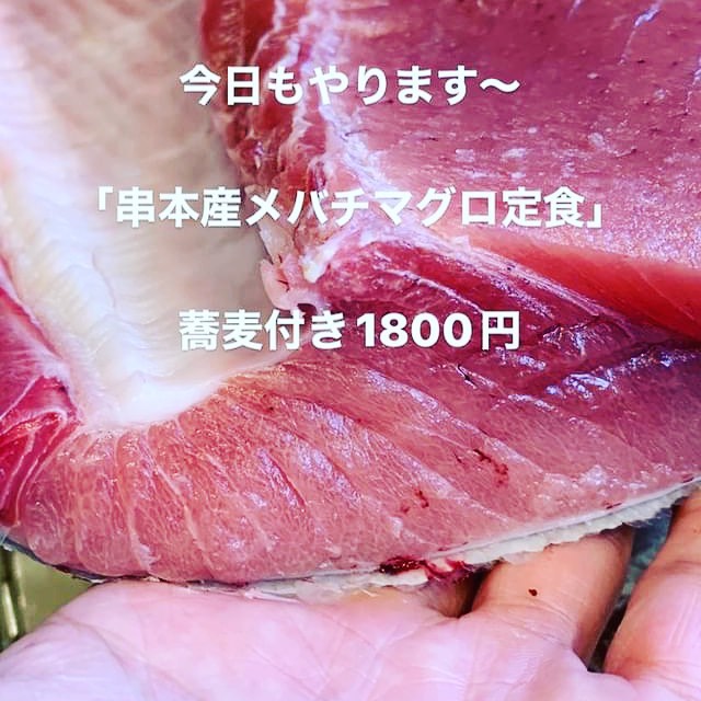 メバチマグロ定食やってまーす！