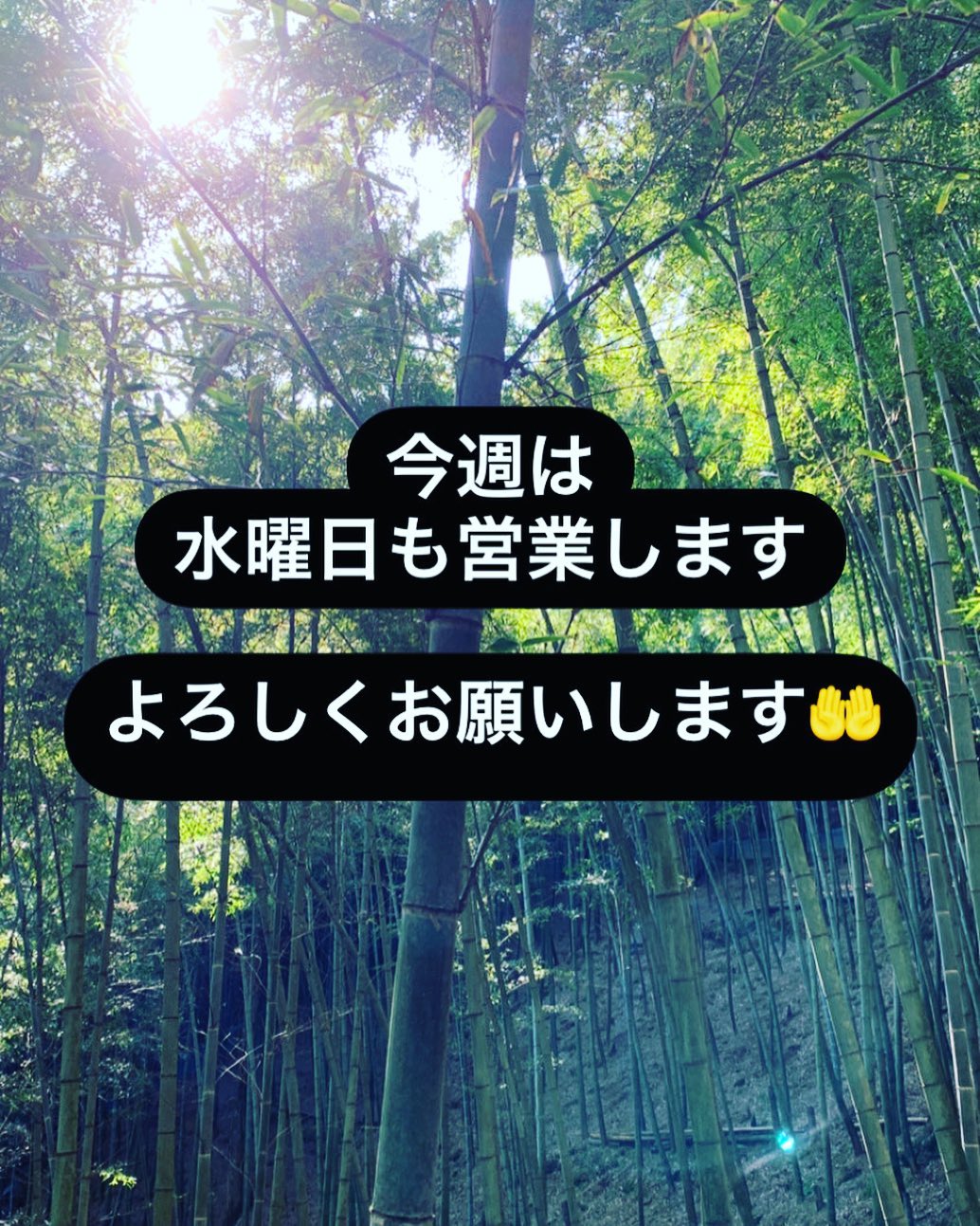 今週は水曜日も営業致します‍♂️

よろしくお願いします‍♂️

https://www.wakayama-kishugura.com


TEL  0734994080