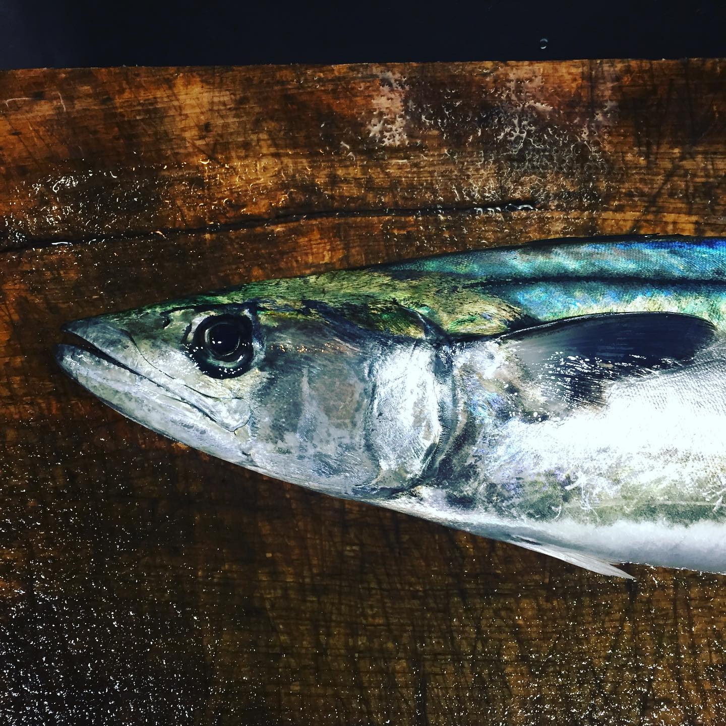 本日は加太港より昼釣りサワラ入荷です！

美味い肴をアテに一杯やりに来て下さいお待ちしてます！