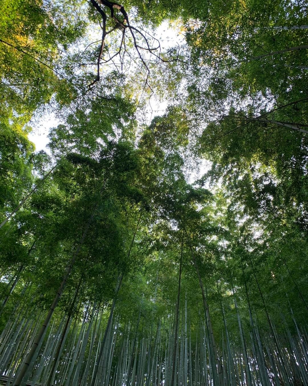 本日臨時休業頂いております‍♂️