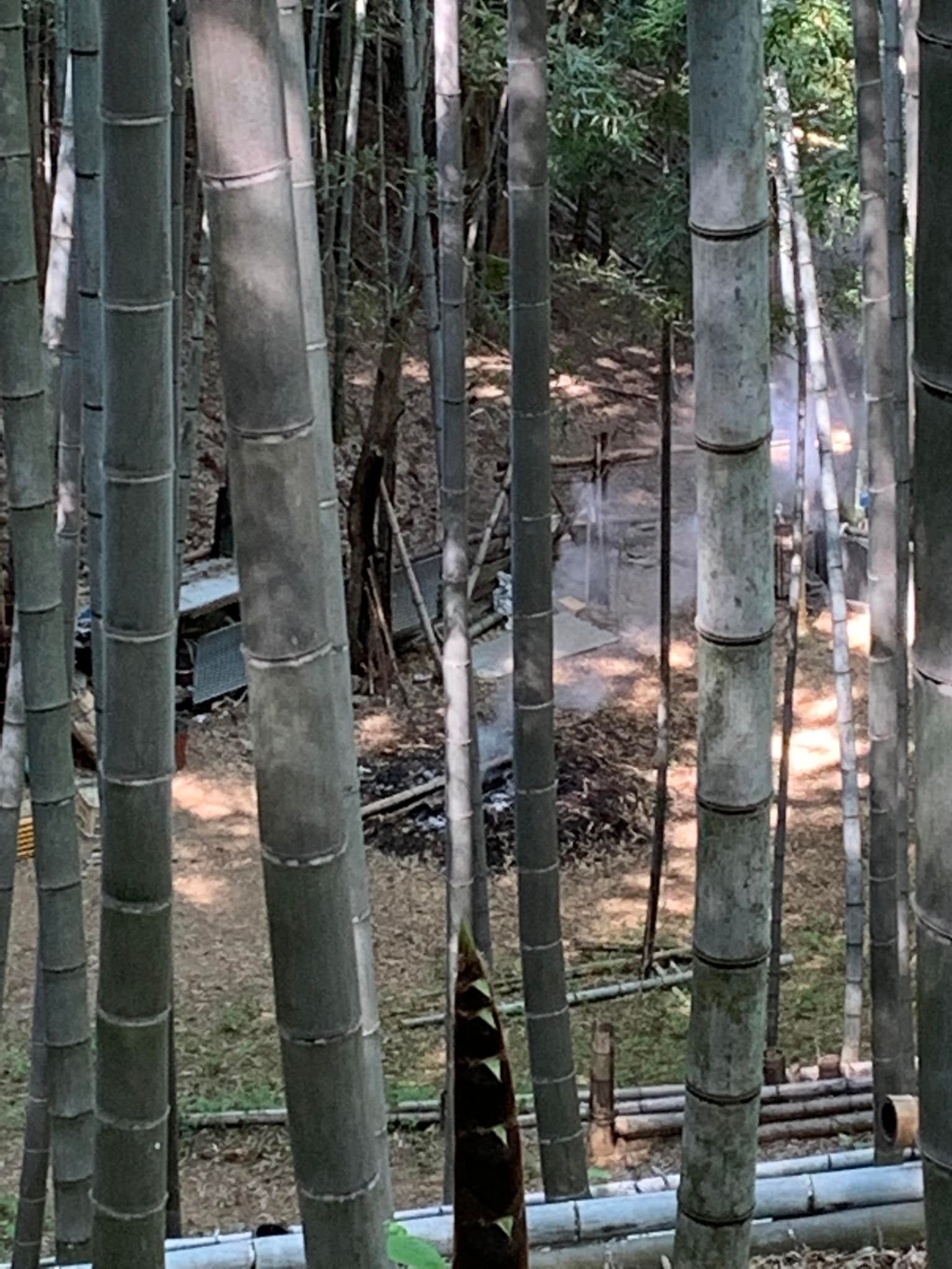 火に入れて最高の贅沢な焼き竹の子にします️